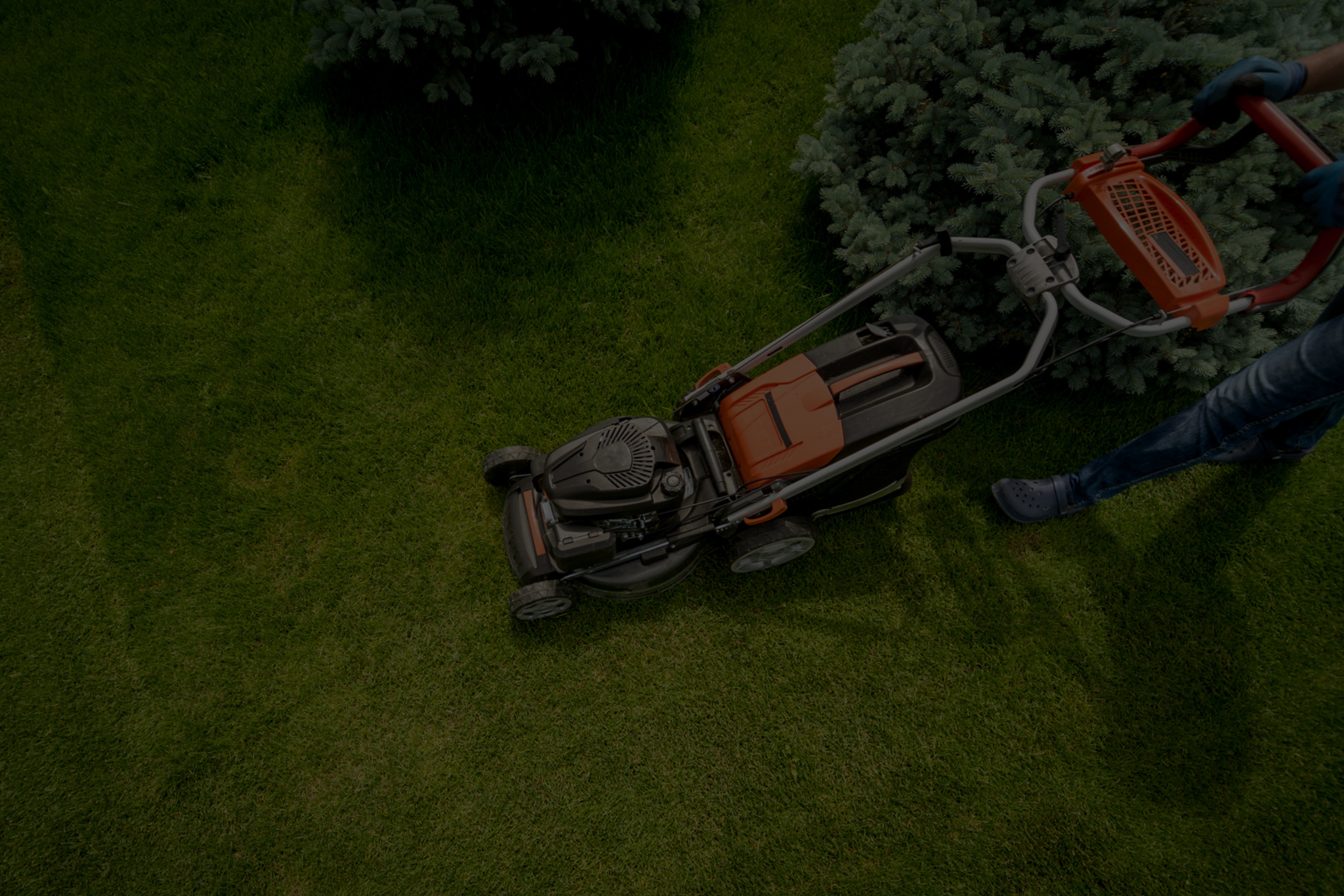 Martinez Lawn Care Designs