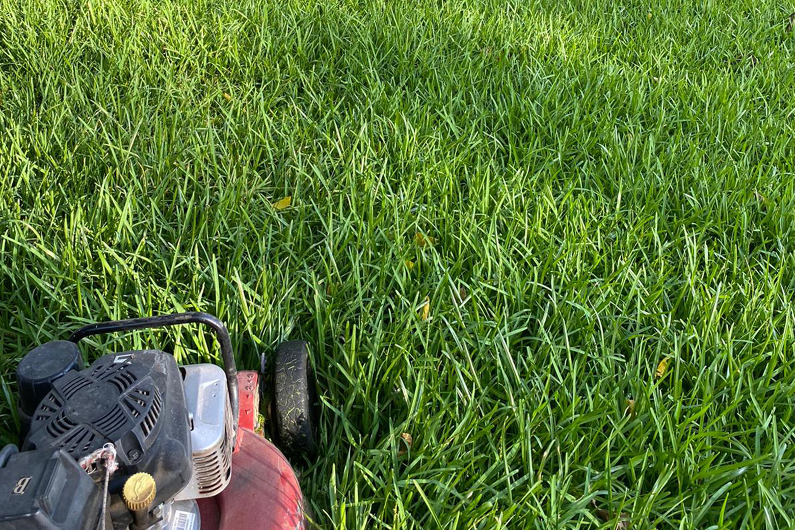 Martinez Lawn Care Designs