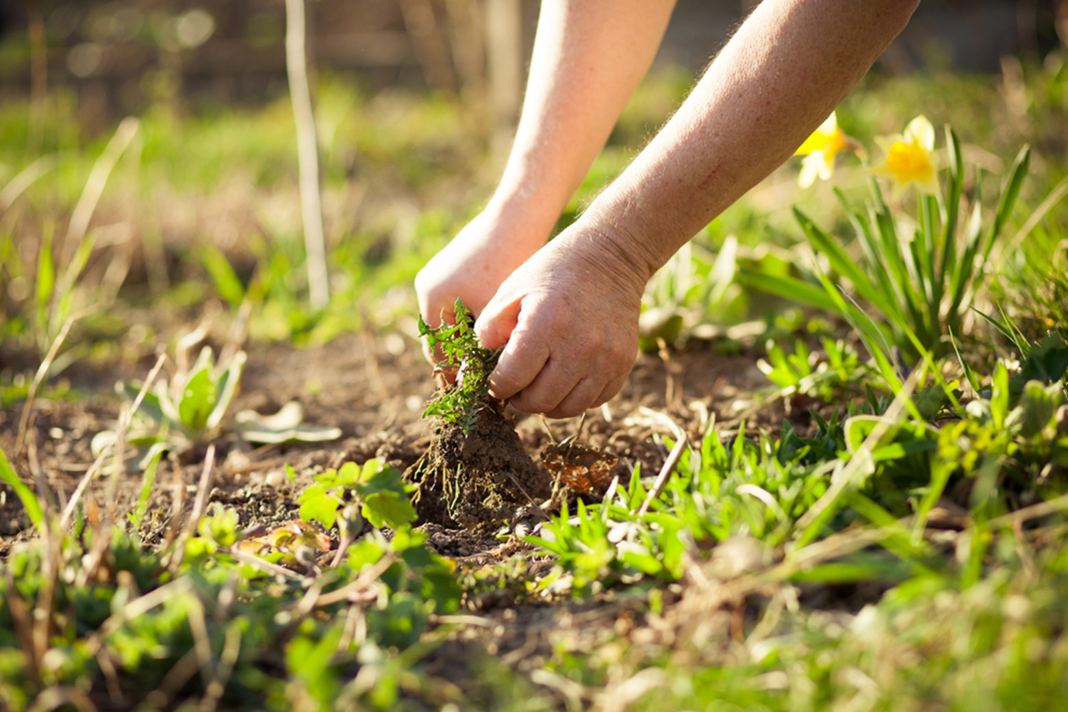 Martinez Lawn Care Designs